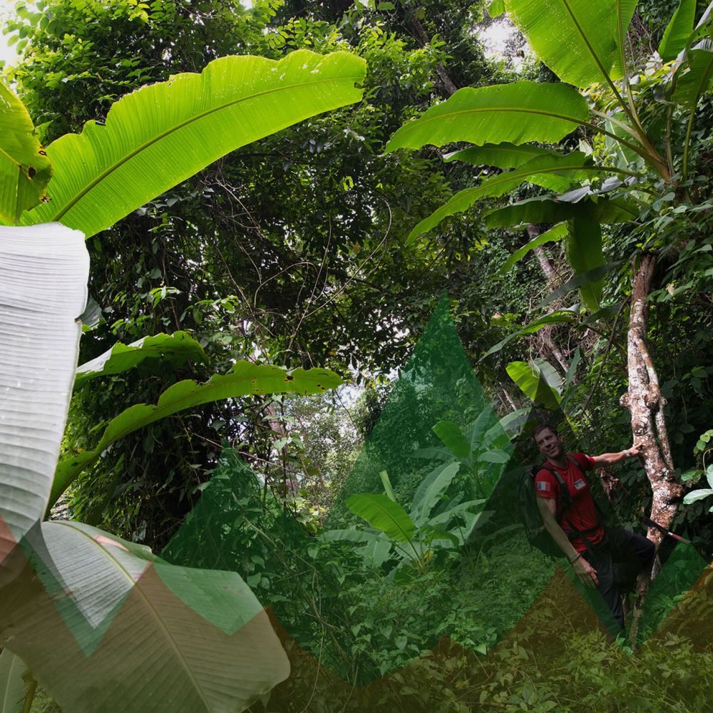 Thailand Mountain Trail Hikking Trails, Trekking Trips, & Running Tours Thailand Header 0194