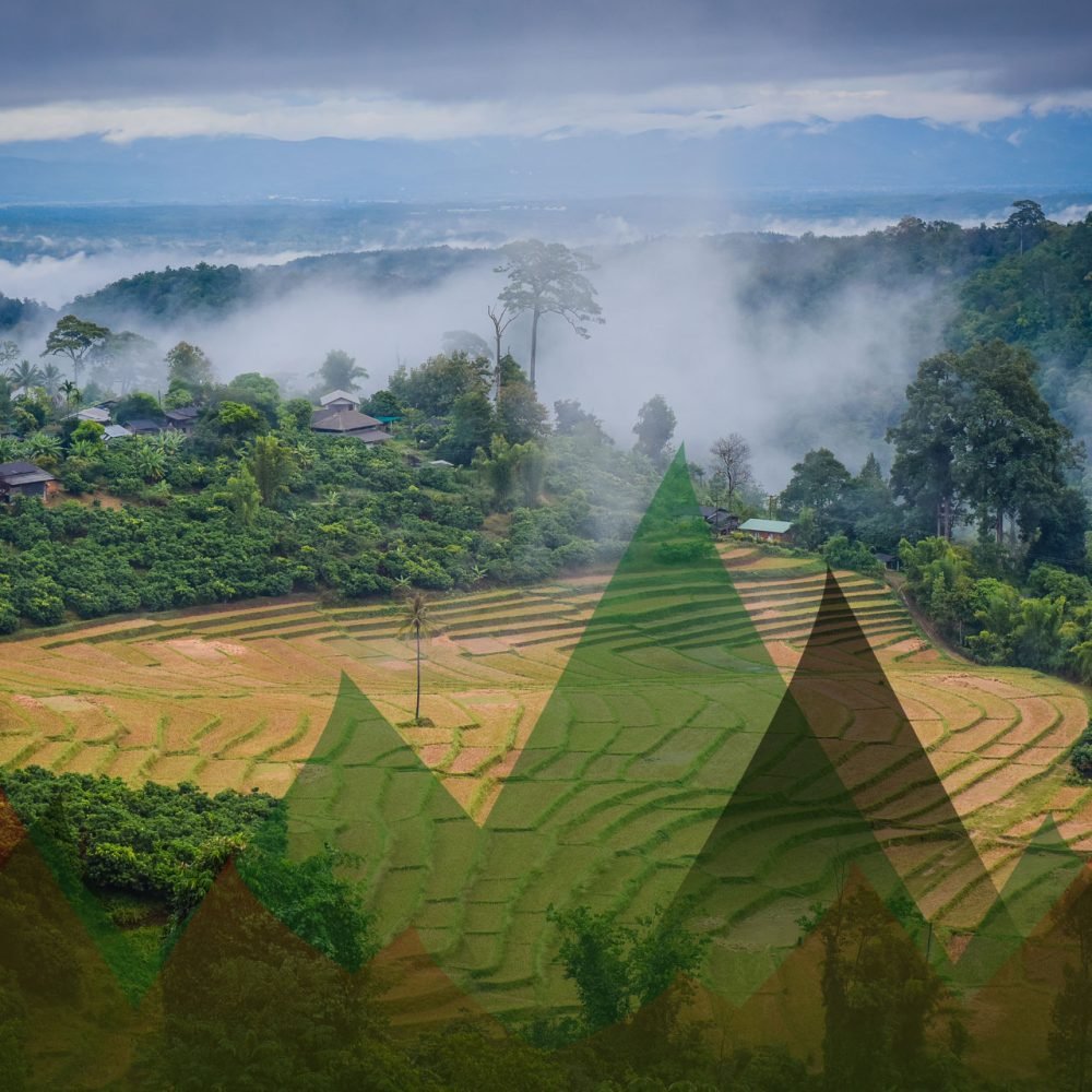 Thailand Mountain Trail Hikking Trails, Trekking Trips, & Running Tours Thailand Header 9190