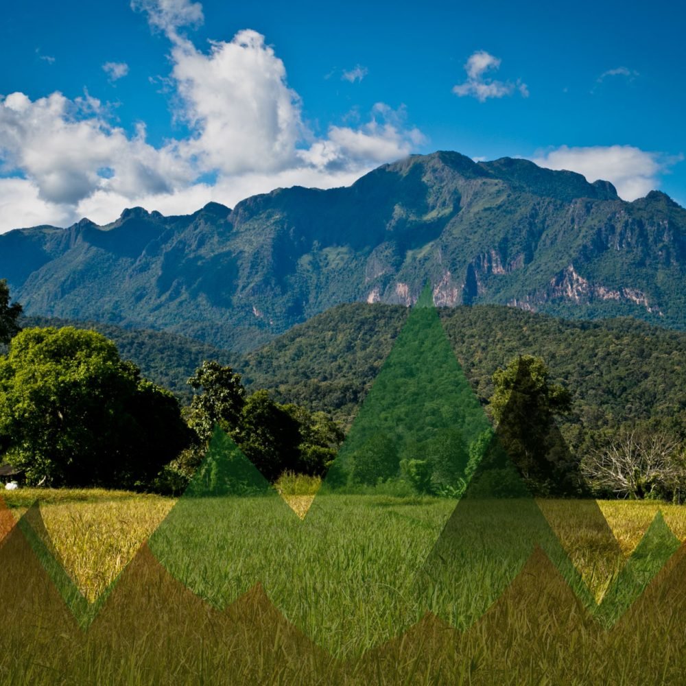 Thailand Mountain Trail Hikking Trails, Trekking Trips, & Running Tours Thailand Header S1