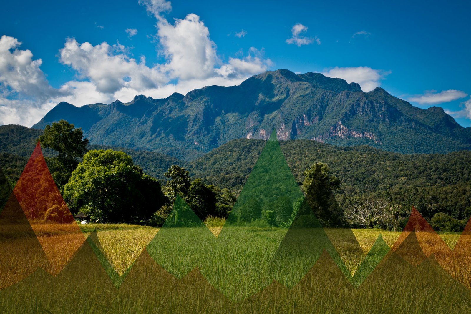 Thailand Mountain Trail Hikking Trails, Trekking Trips, & Running Tours Thailand Header S1