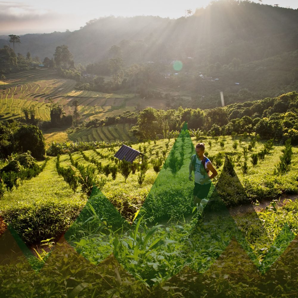 Thailand Mountain Trail Hikking Trails, Trekking Trips, & Running Tours Thailand Header S212
