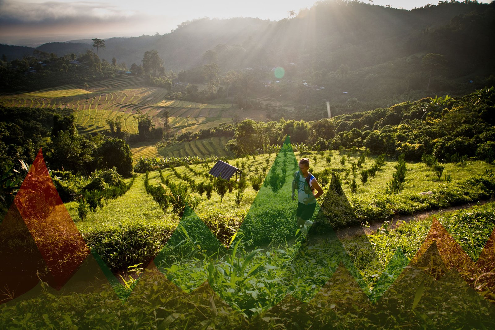 Thailand Mountain Trail Hikking Trails, Trekking Trips, & Running Tours Thailand Header S212