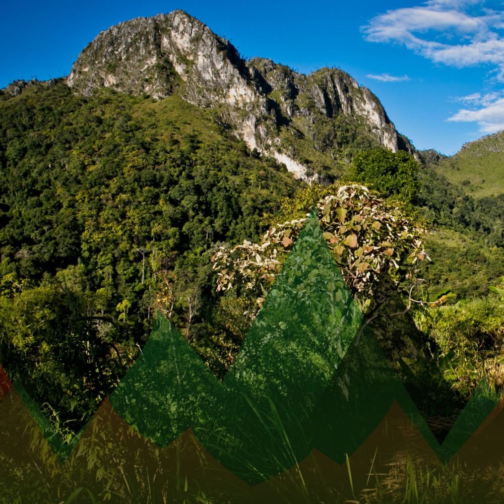 Thailand Mountain Trail Hikking Trails, Trekking Trips, & Running Tours Thailand Header S37
