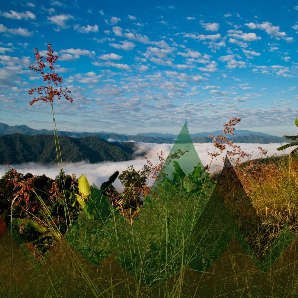 Thailand Mountain Trail Hikking Trails, Trekking Trips, & Running Tours Thailand Running 02 01