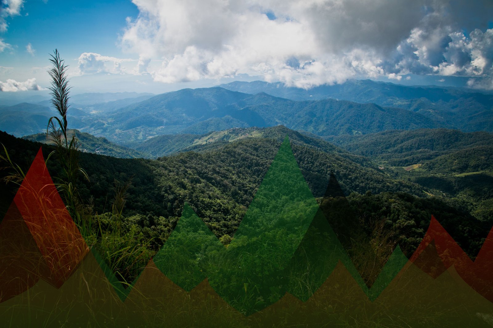 Thailand Mountain Trail Hikking Trails, Trekking Trips, & Running Tours Thailand Running 03 01