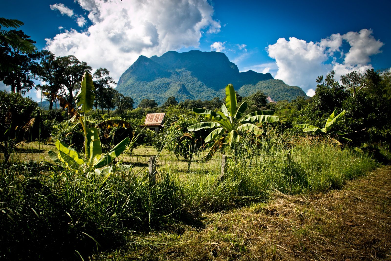 Thailand Mountain Trail Hikking Trails, Trekking Trips, & Running Tours Thailand 1. Shoot V2.21