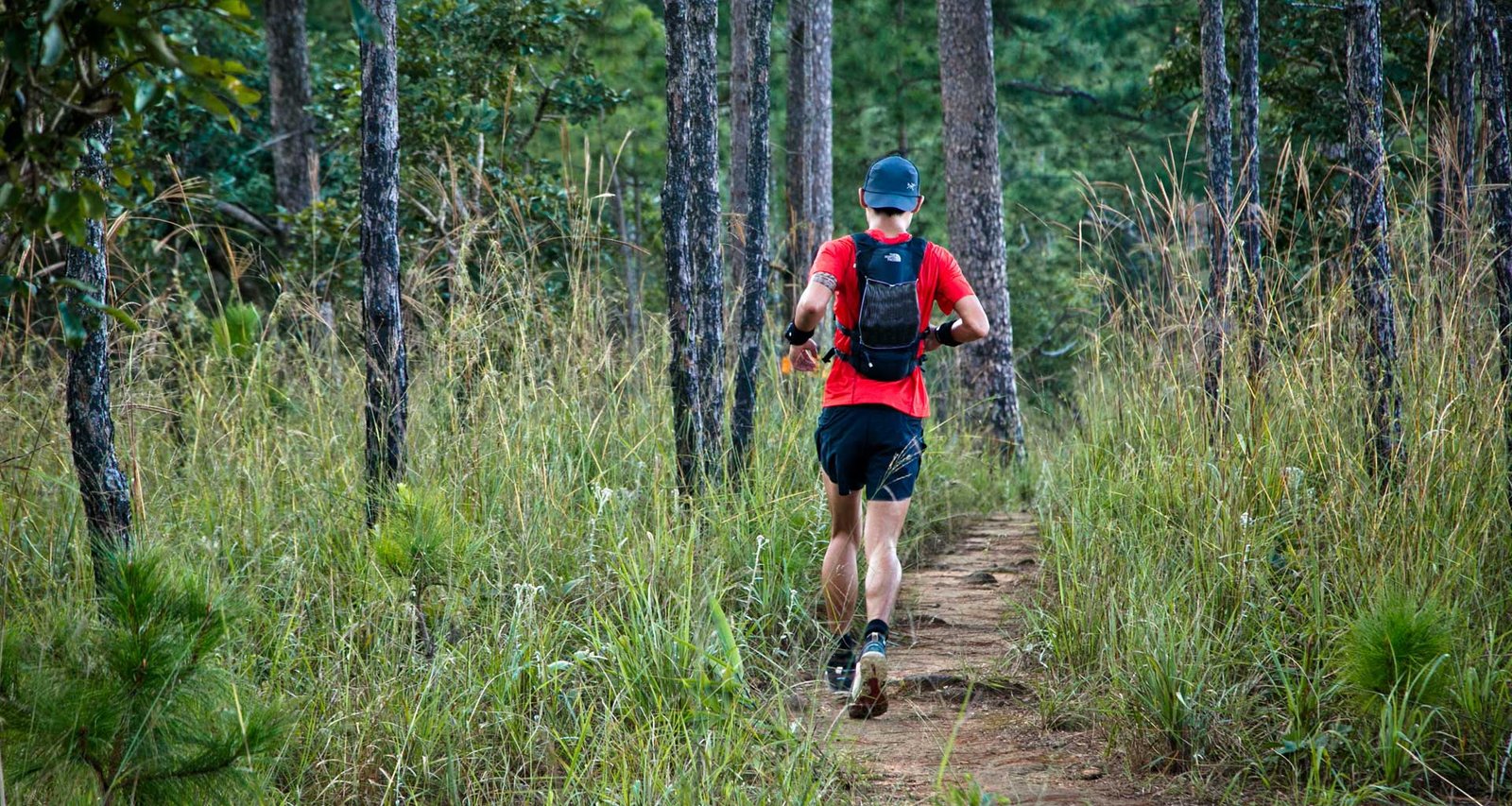 Thailand Mountain Trail Hikking Trails, Trekking Trips, & Running Tours Thailand 1mg0ivfw39gvfbeqb6ofvmaqkabnwx4s