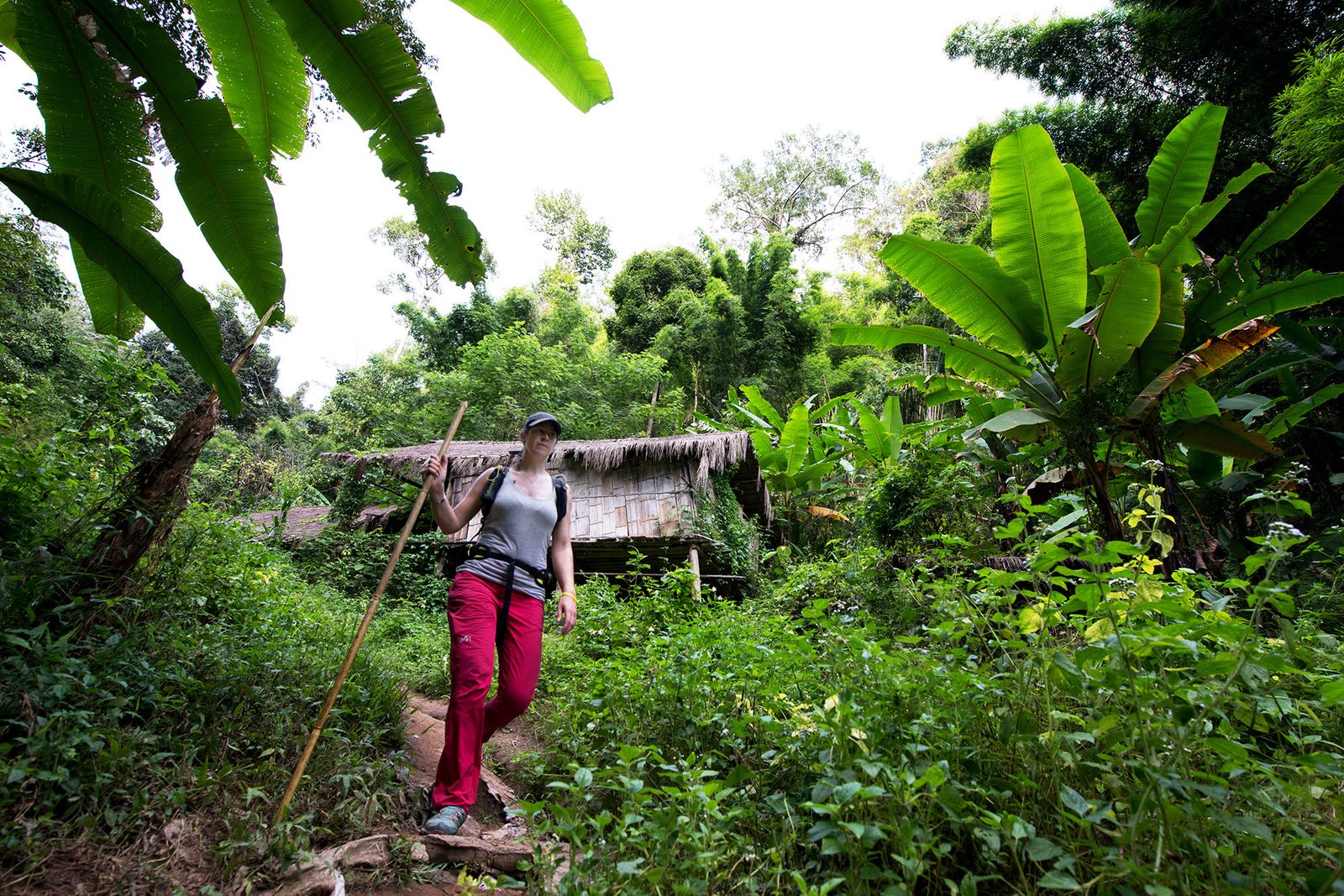 Thailand Mountain Trail Hikking Trails, Trekking Trips, & Running Tours Thailand 2. 06.08.21 Ig Tmt 00