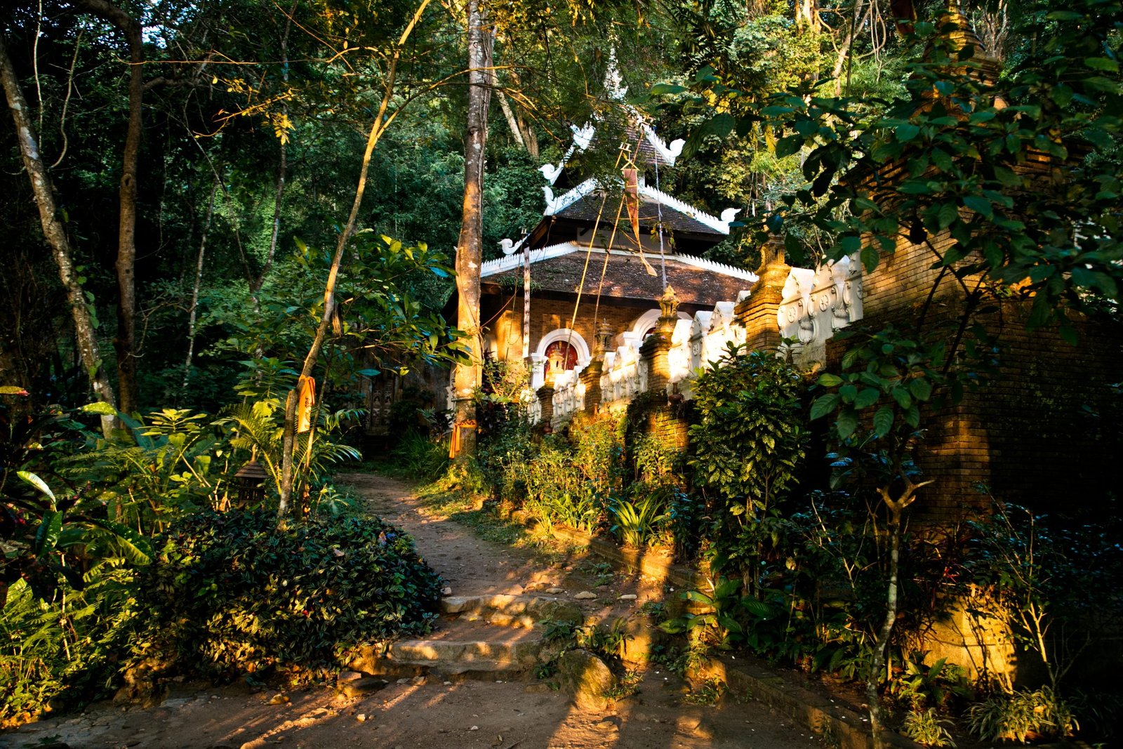 Thailand Mountain Trail Hikking Trails, Trekking Trips, & Running Tours Thailand 2. 09.08.21 Ig Tmt 2