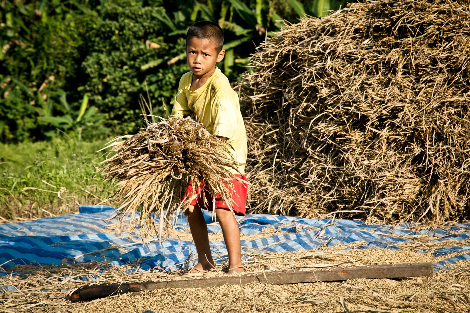 Thailand Mountain Trail Hikking Trails, Trekking Trips, & Running Tours Thailand 2. 11.08.21 Ig Tmt