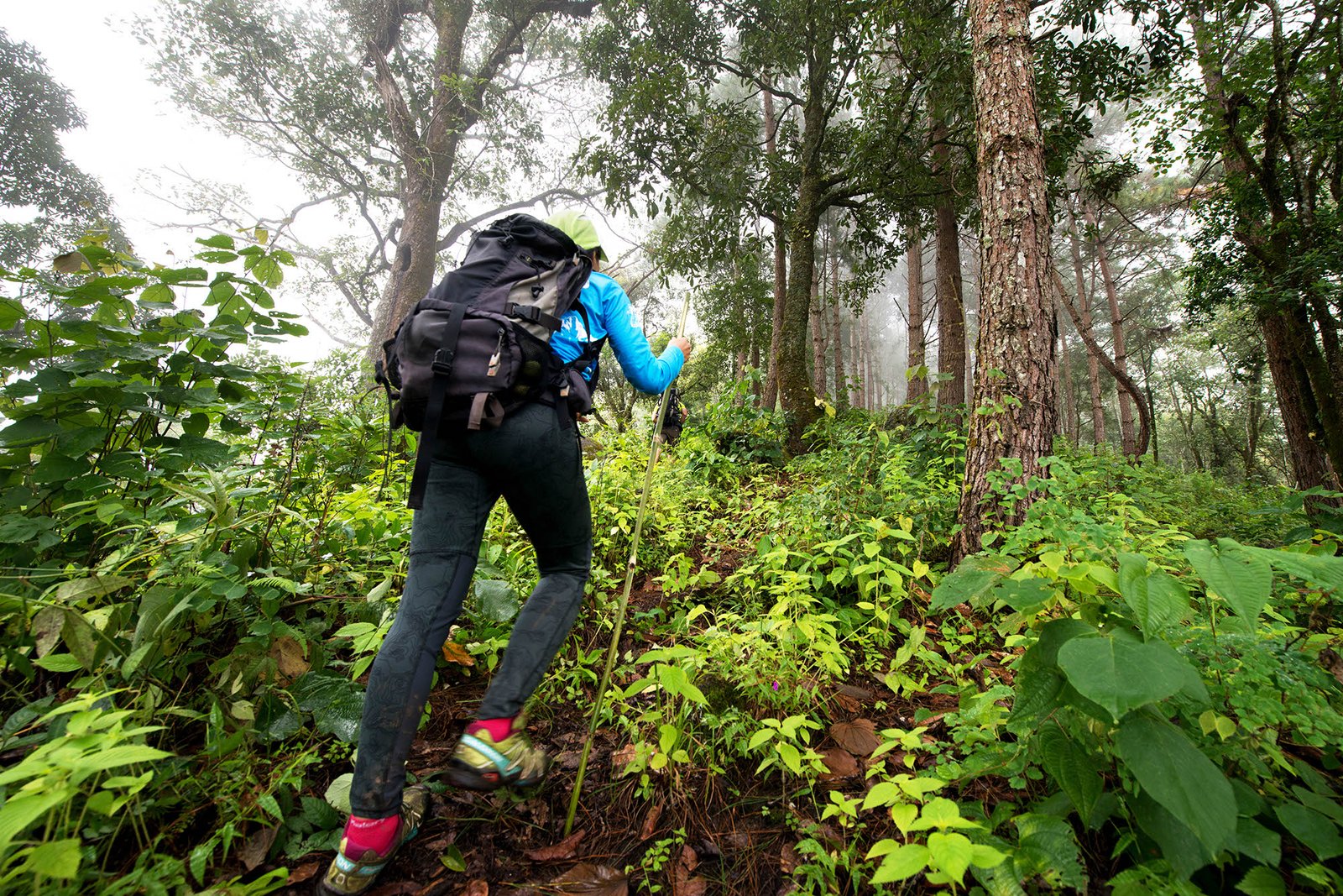 Thailand Mountain Trail Hikking Trails, Trekking Trips, & Running Tours Thailand 2. 20161026 0137