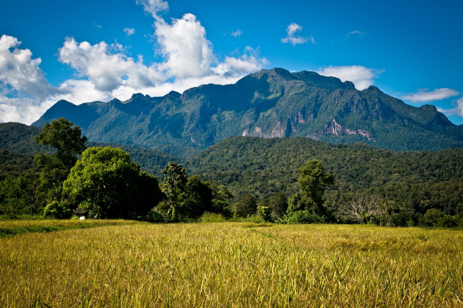 Thailand Mountain Trail Hikking Trails, Trekking Trips, & Running Tours Thailand 2. S1