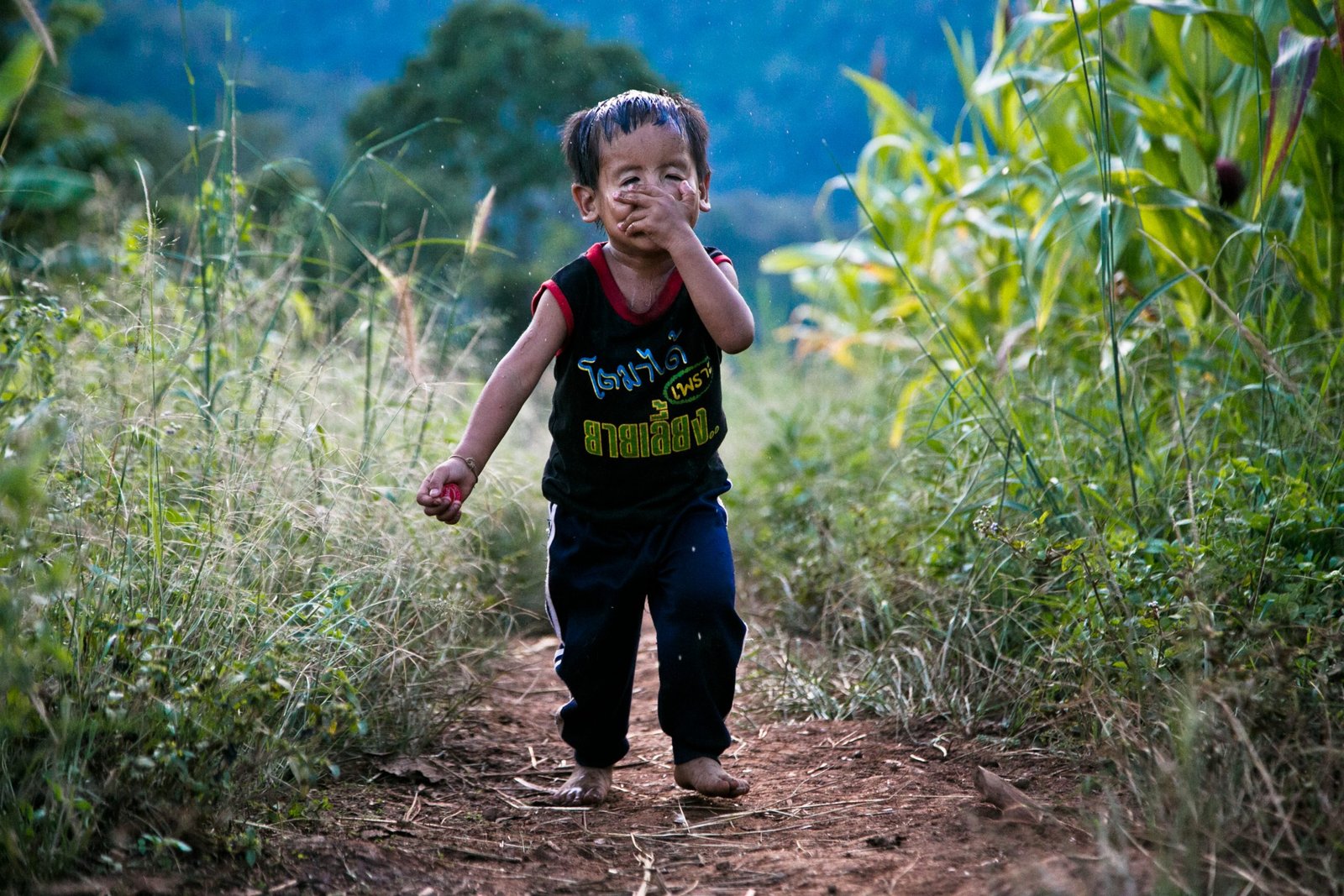 Thailand Mountain Trail Hikking Trails, Trekking Trips, & Running Tours Thailand 2. S101