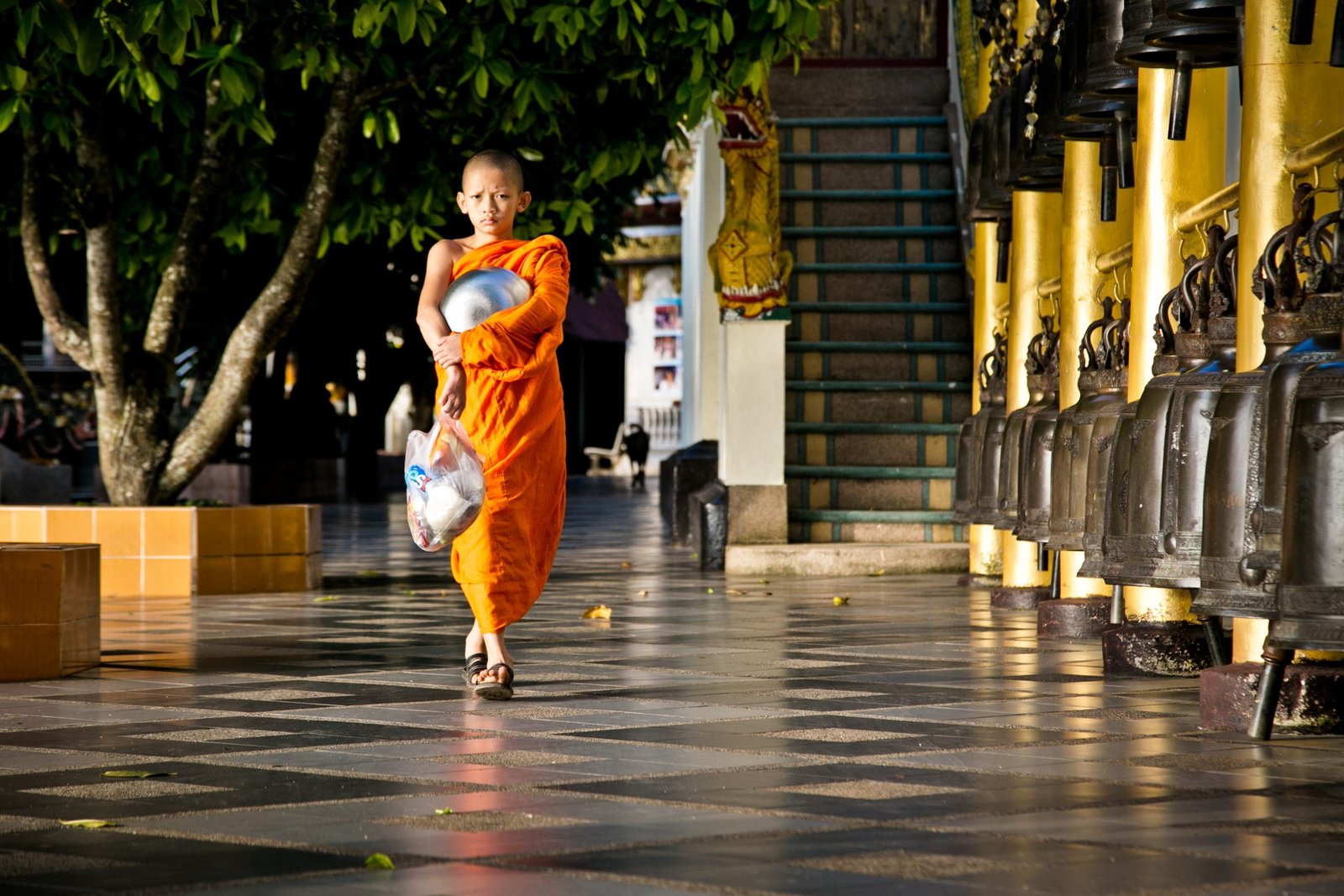 Thailand Mountain Trail Hikking Trails, Trekking Trips, & Running Tours Thailand 2. S168