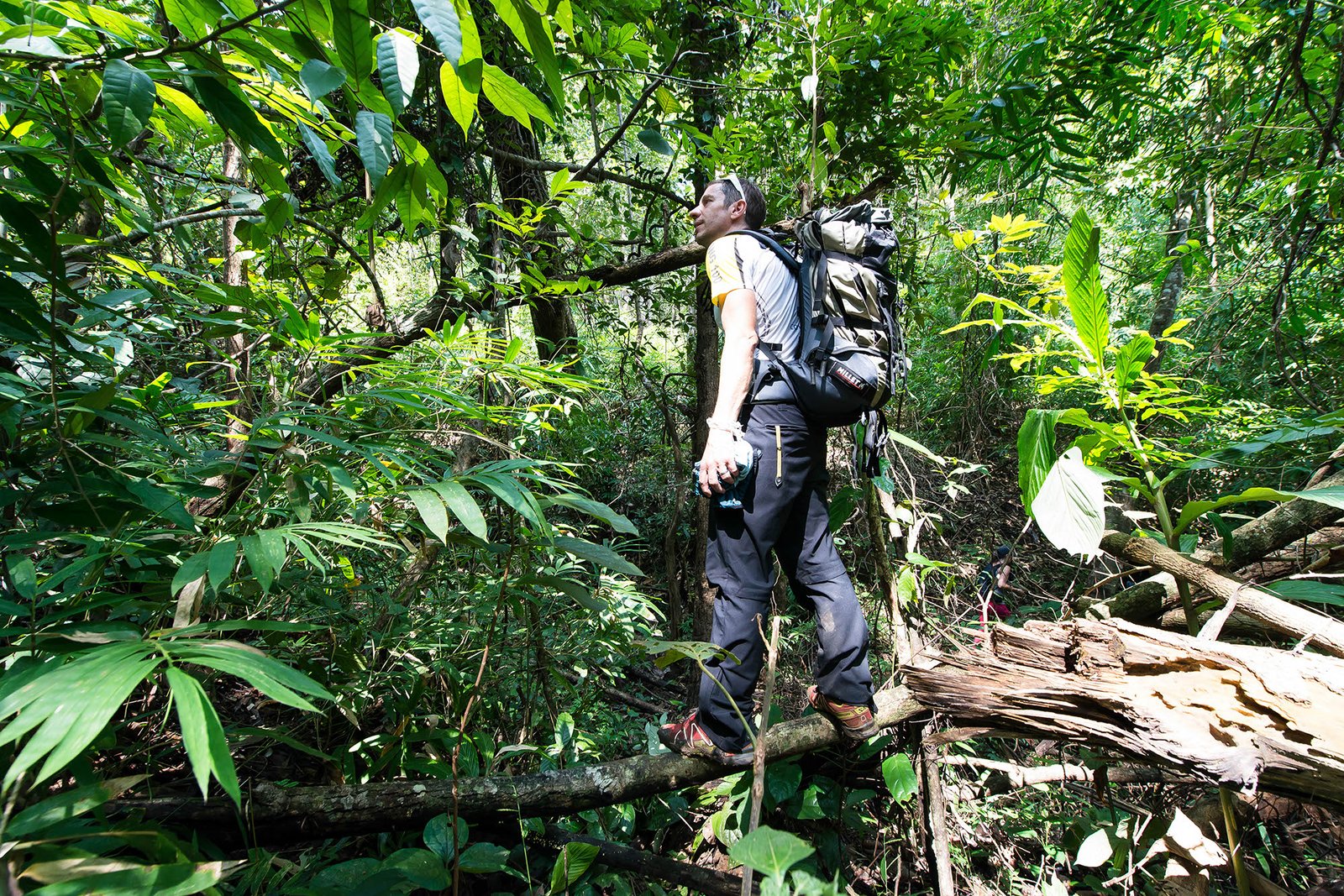 Thailand Mountain Trail Hikking Trails, Trekking Trips, & Running Tours Thailand 2. Trek 0257 (1)