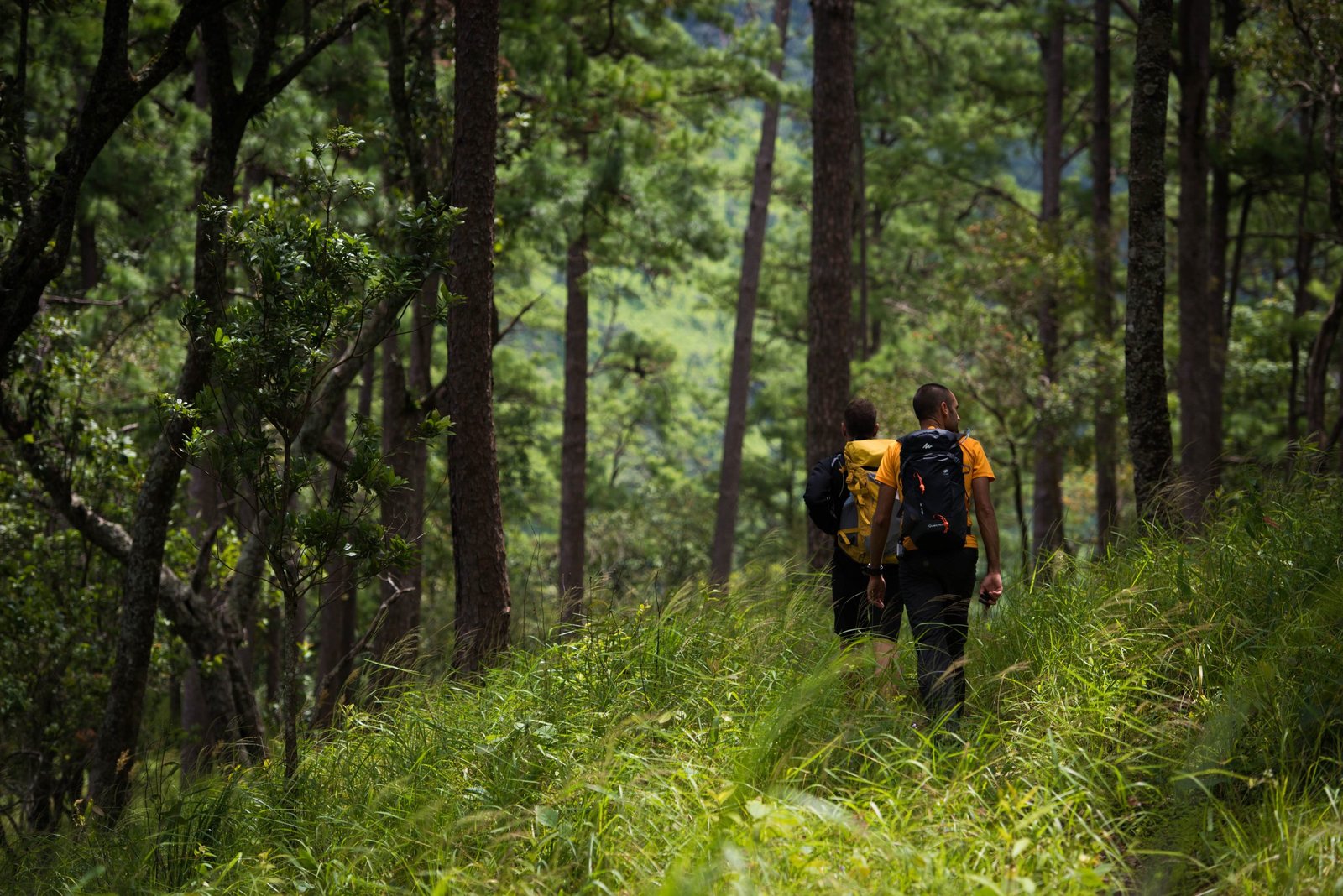 Thailand Mountain Trail Hikking Trails, Trekking Trips, & Running Tours Thailand 3. Dsc 9863
