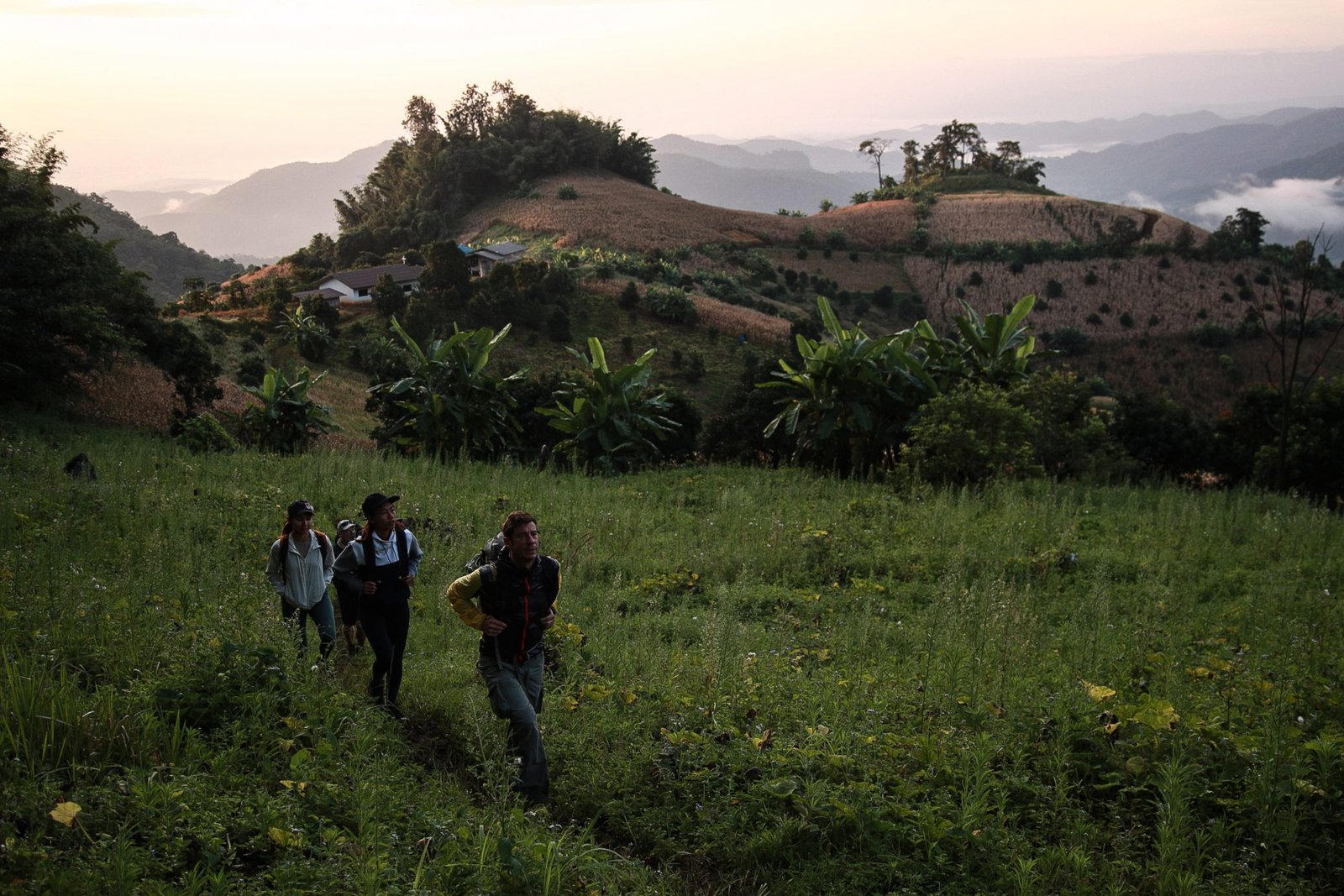 Thailand Mountain Trail Hikking Trails, Trekking Trips, & Running Tours Thailand Screenshot