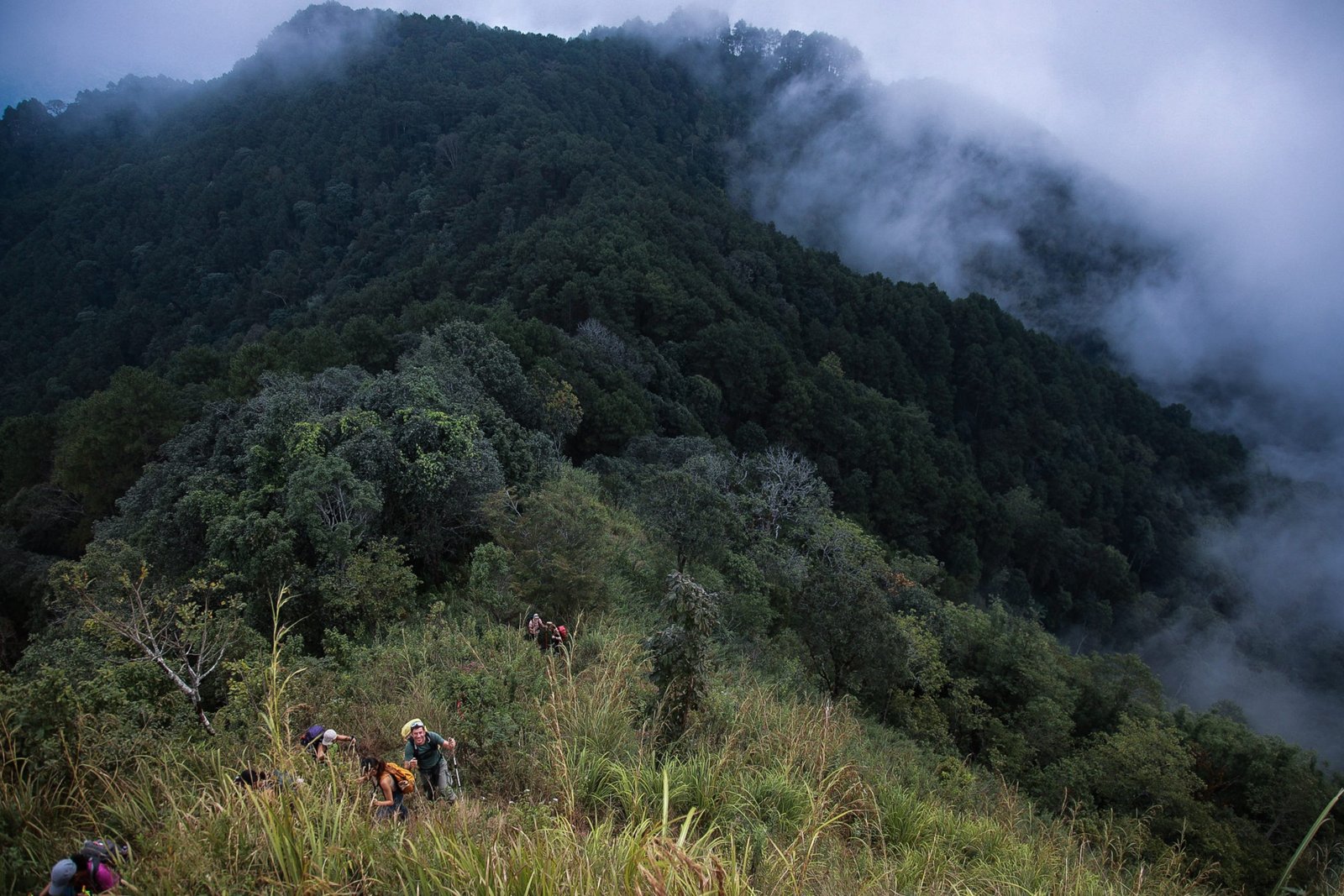 Thailand Mountain Trail Hikking Trails, Trekking Trips, & Running Tours Thailand Screenshot