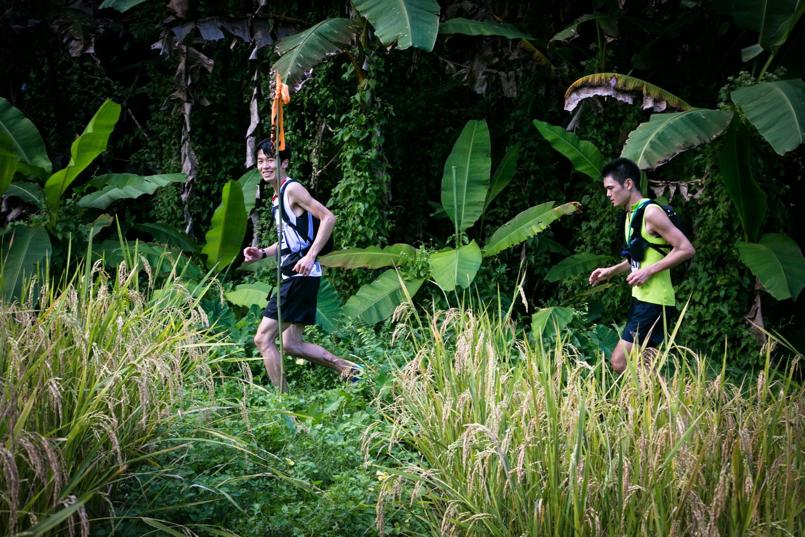 Thailand Mountain Trail Hikking Trails, Trekking Trips, & Running Tours Thailand 4. S200