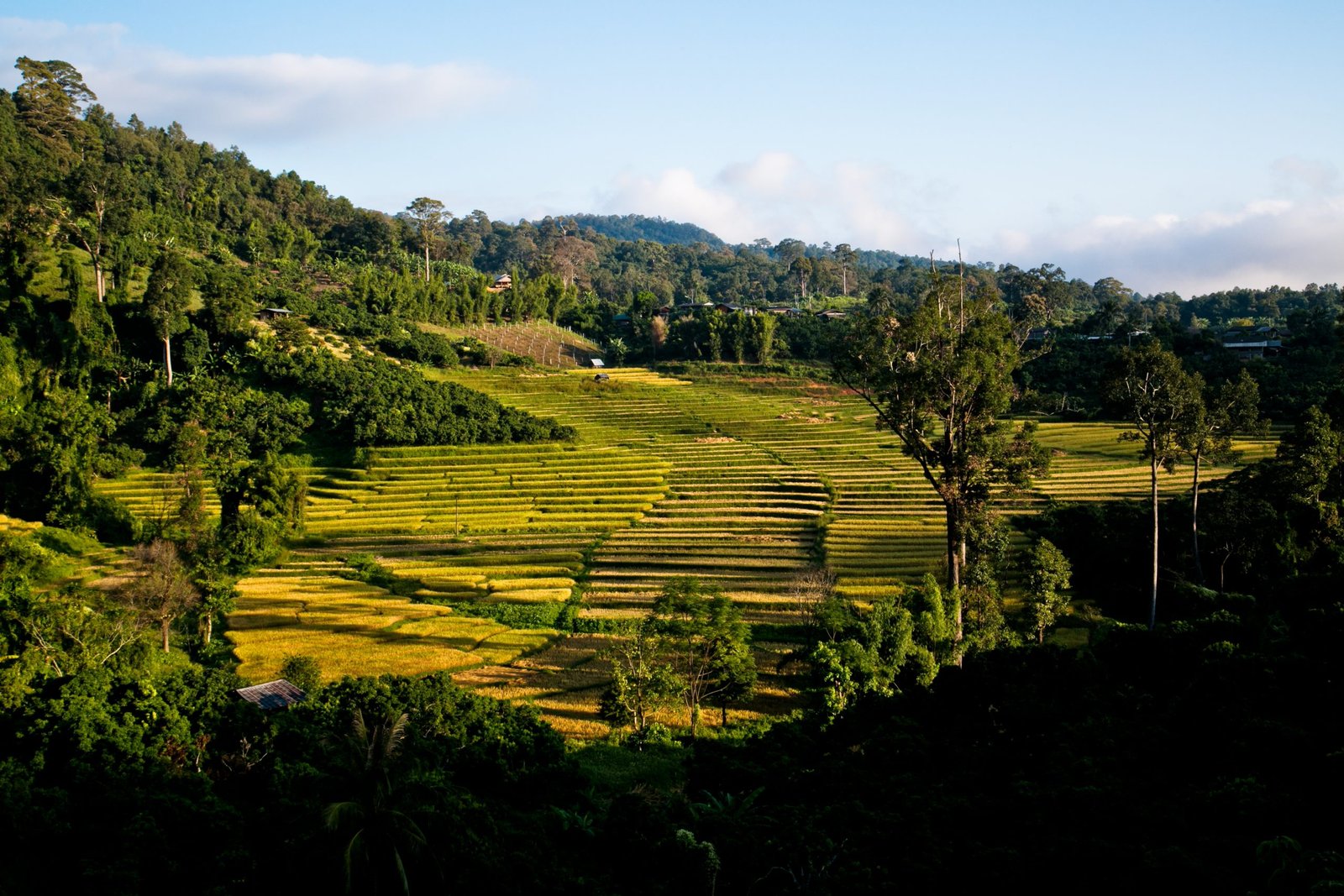 Thailand Mountain Trail Hikking Trails, Trekking Trips, & Running Tours Thailand 4. Utcm 2014 ©v.kronental 515