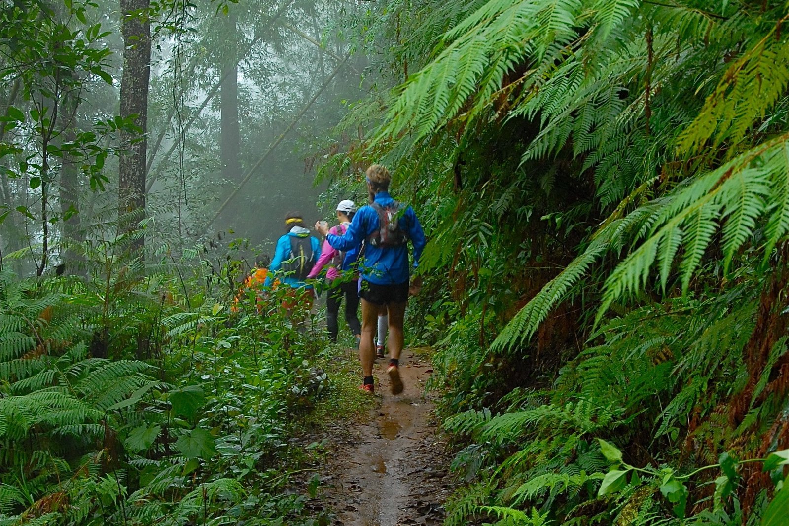 Thailand Mountain Trail Hikking Trails, Trekking Trips, & Running Tours Thailand 5. A3 Jungle Ls