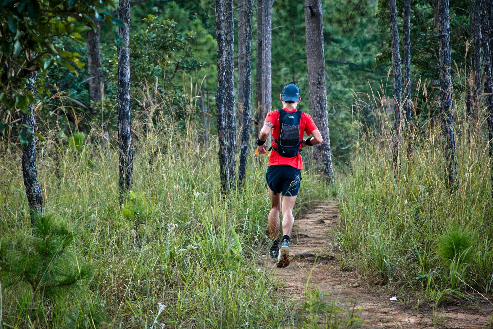 Thailand Mountain Trail Hikking Trails, Trekking Trips, & Running Tours Thailand 5. S180 Bis