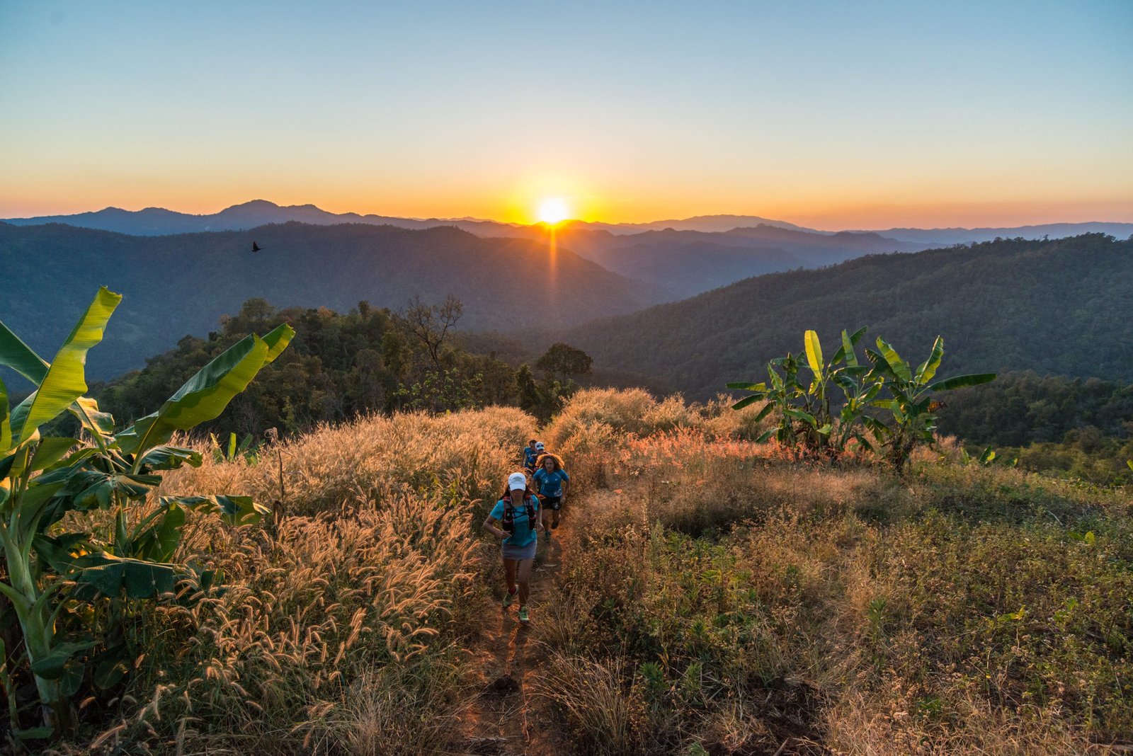 Thailand Mountain Trail Hikking Trails, Trekking Trips, & Running Tours Thailand 5. Sek 4740