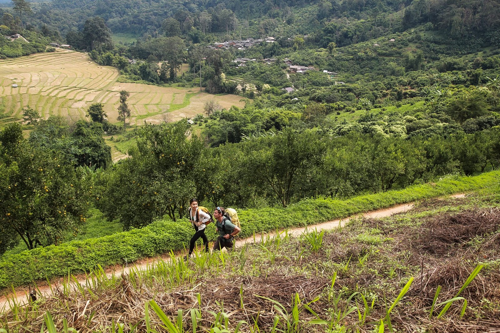 Thailand Mountain Trail Hikking Trails, Trekking Trips, & Running Tours Thailand Screenshot