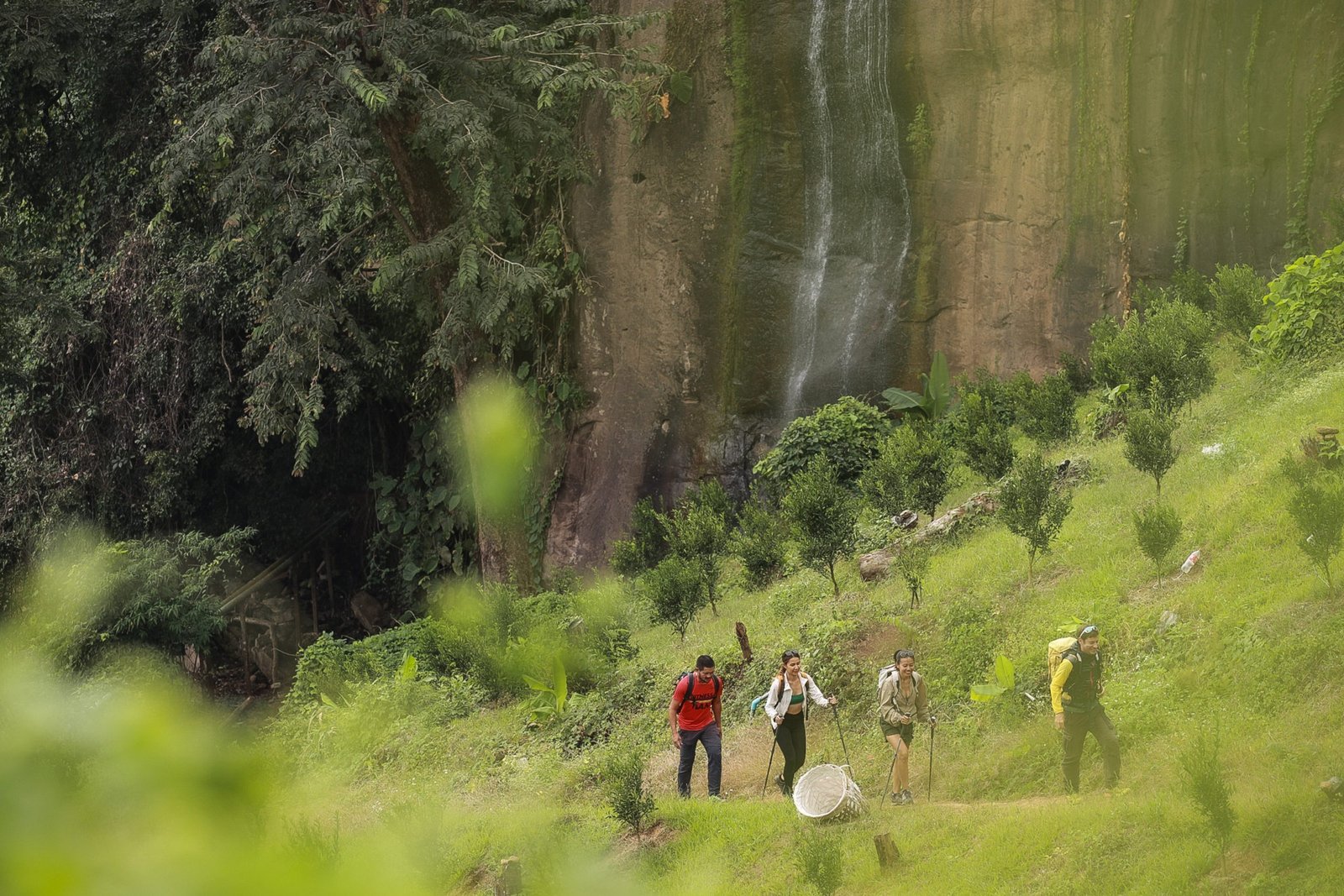 Thailand Mountain Trail Hikking Trails, Trekking Trips, & Running Tours Thailand Screenshot