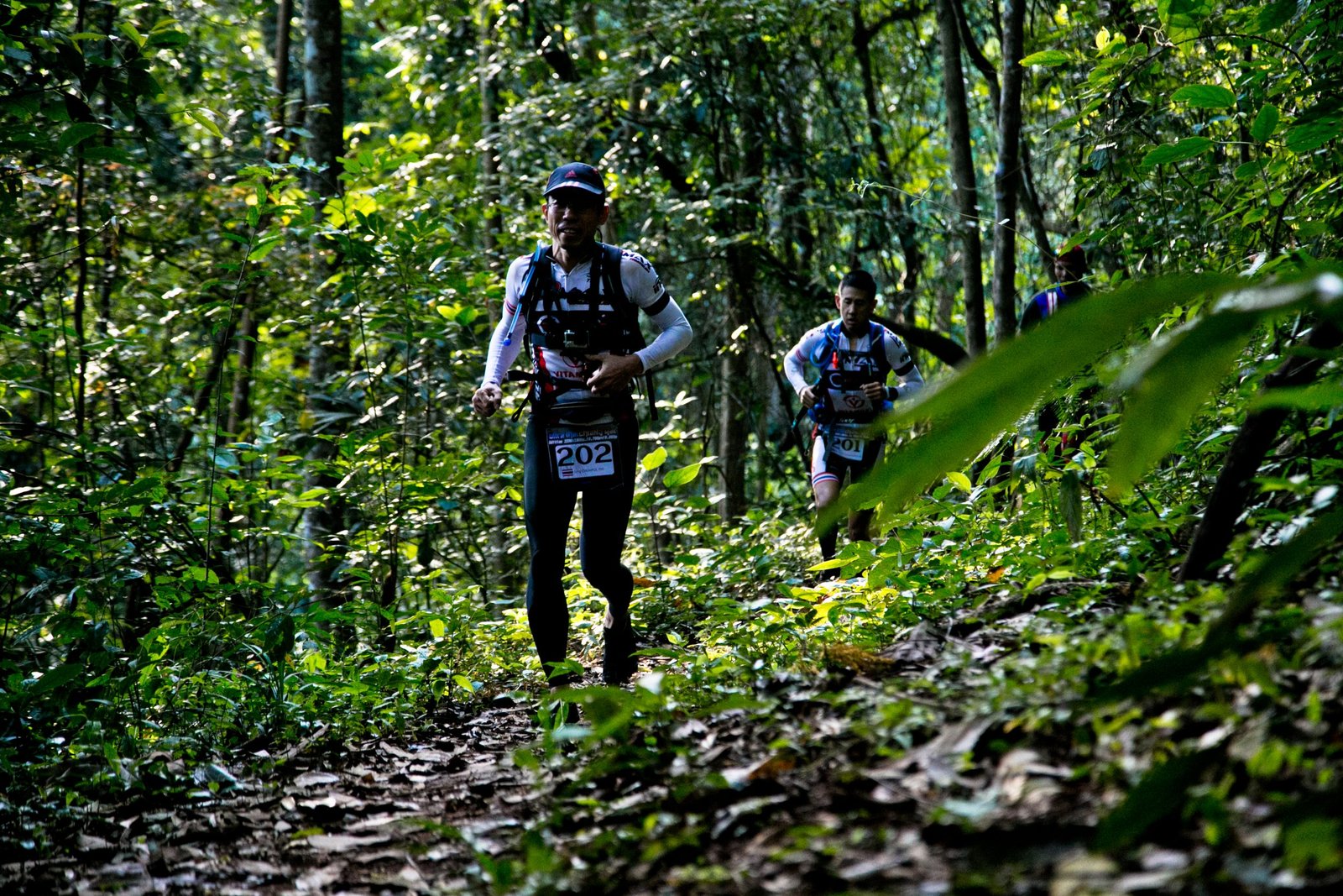 Thailand Mountain Trail Hikking Trails, Trekking Trips, & Running Tours Thailand 5. V1.s176