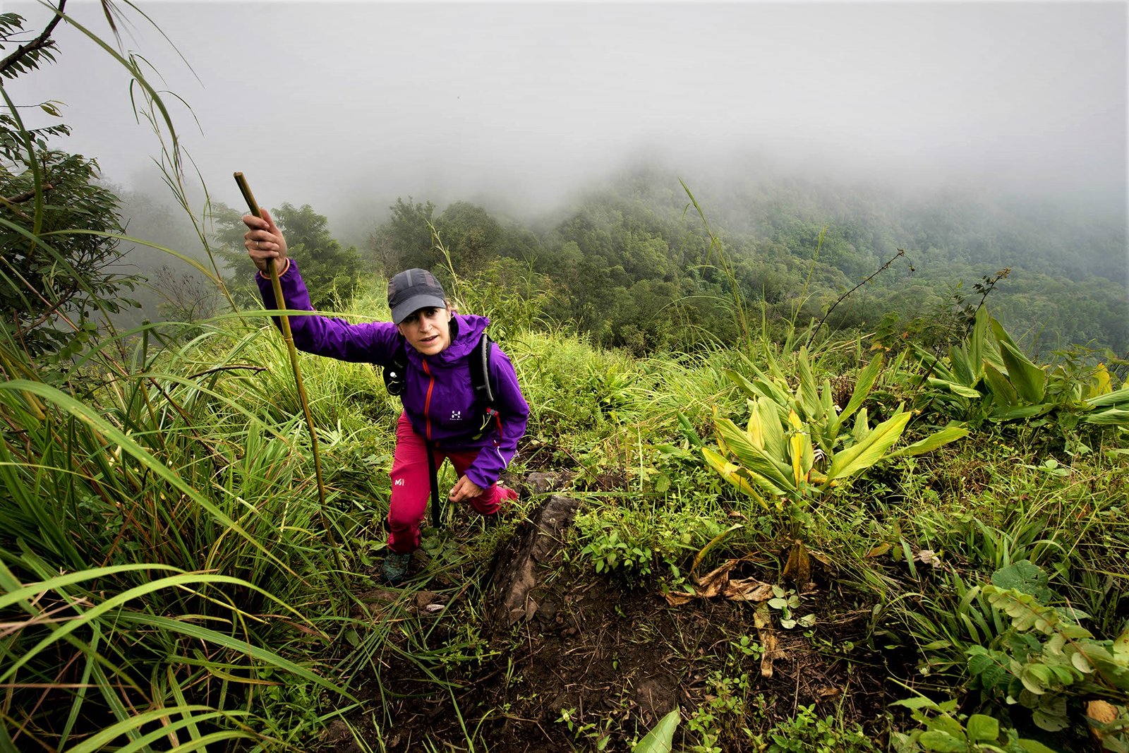 Thailand Mountain Trail Hikking Trails, Trekking Trips, & Running Tours Thailand 6. 02.08.21 Ig Tmt 1 (2)