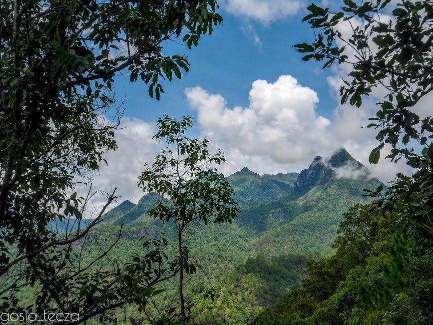 Thailand Mountain Trail Hikking Trails, Trekking Trips, & Running Tours Thailand 6. P1090484