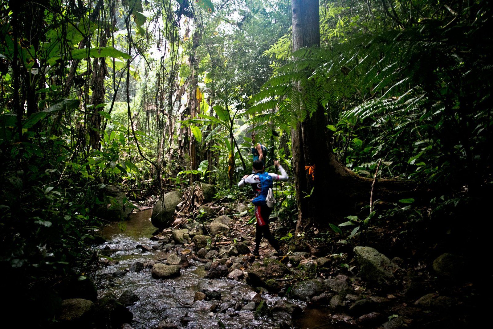 Thailand Mountain Trail Hikking Trails, Trekking Trips, & Running Tours Thailand 6. S246