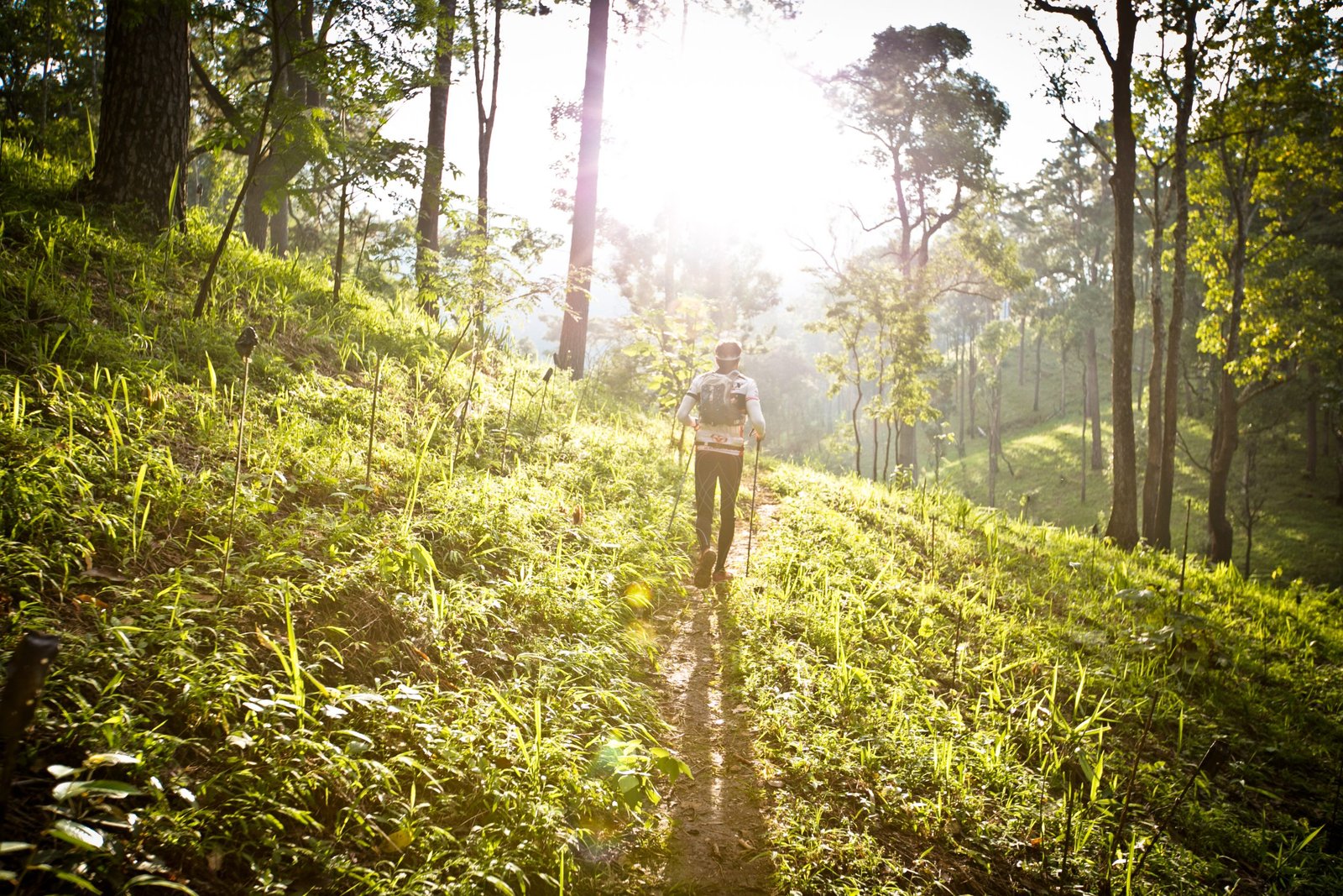 Thailand Mountain Trail Hikking Trails, Trekking Trips, & Running Tours Thailand 6. S277