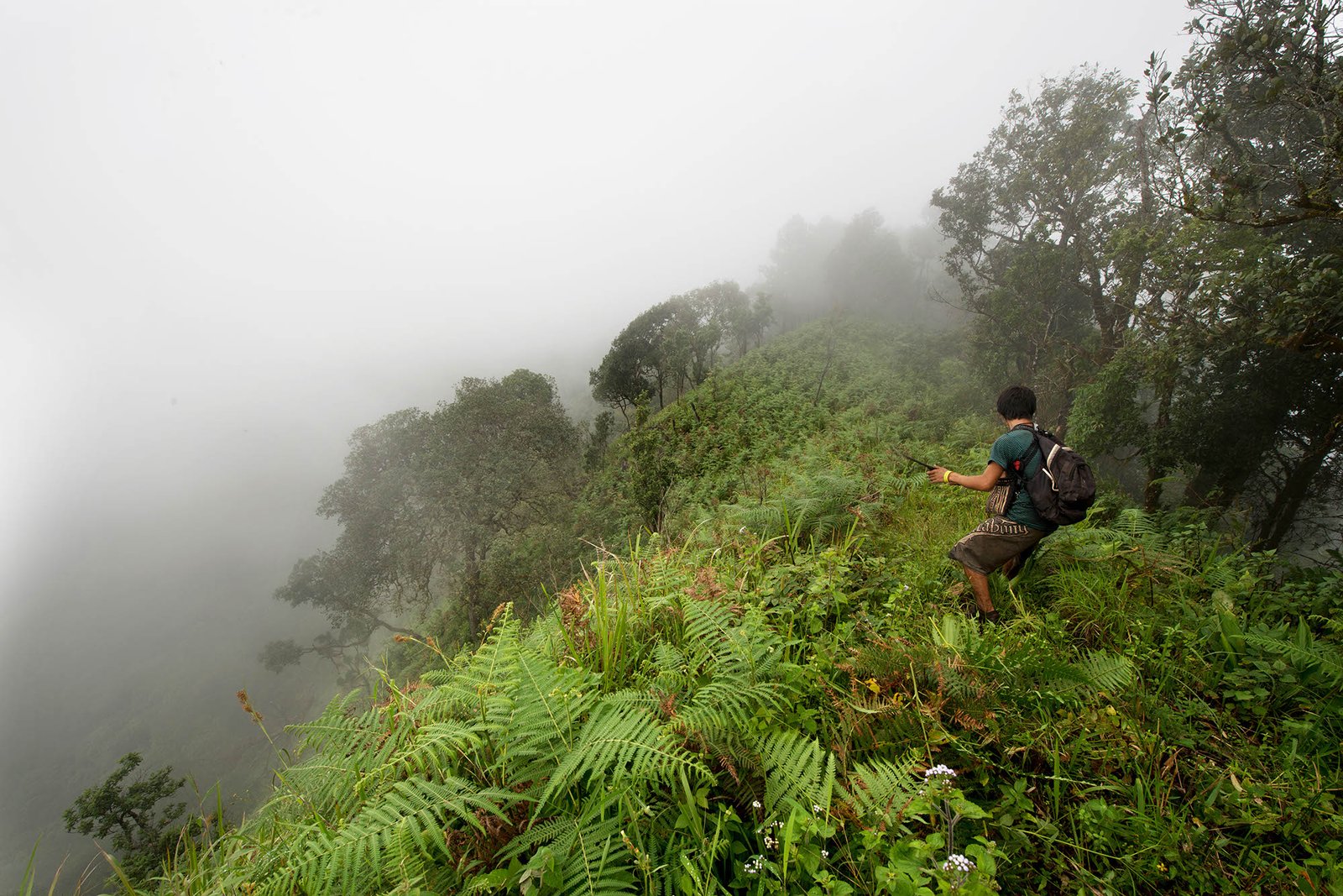 Thailand Mountain Trail Hikking Trails, Trekking Trips, & Running Tours Thailand 7. 20161026 0161