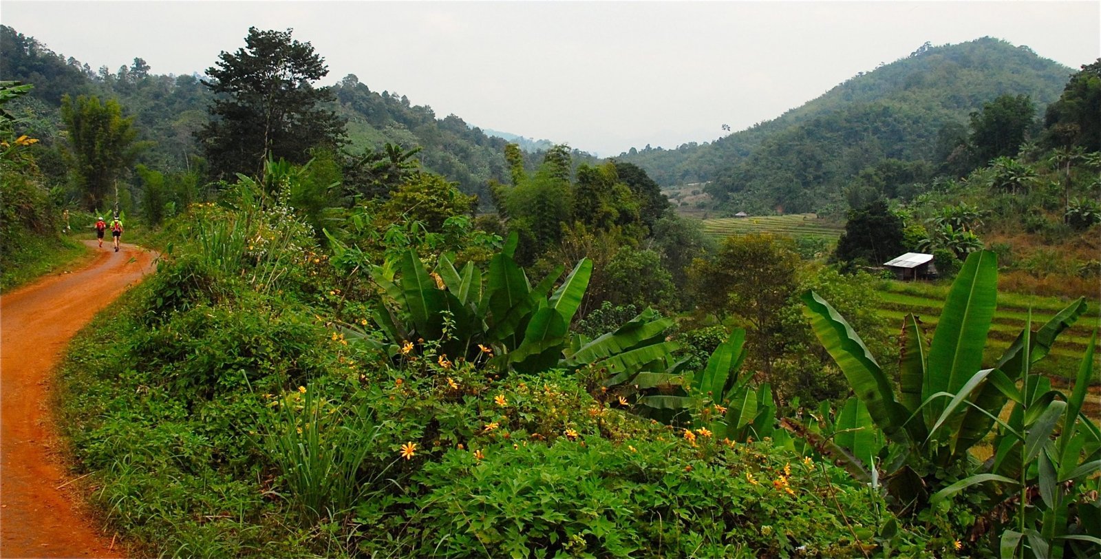 Thailand Mountain Trail Hikking Trails, Trekking Trips, & Running Tours Thailand 7. C3a Running In The Valley