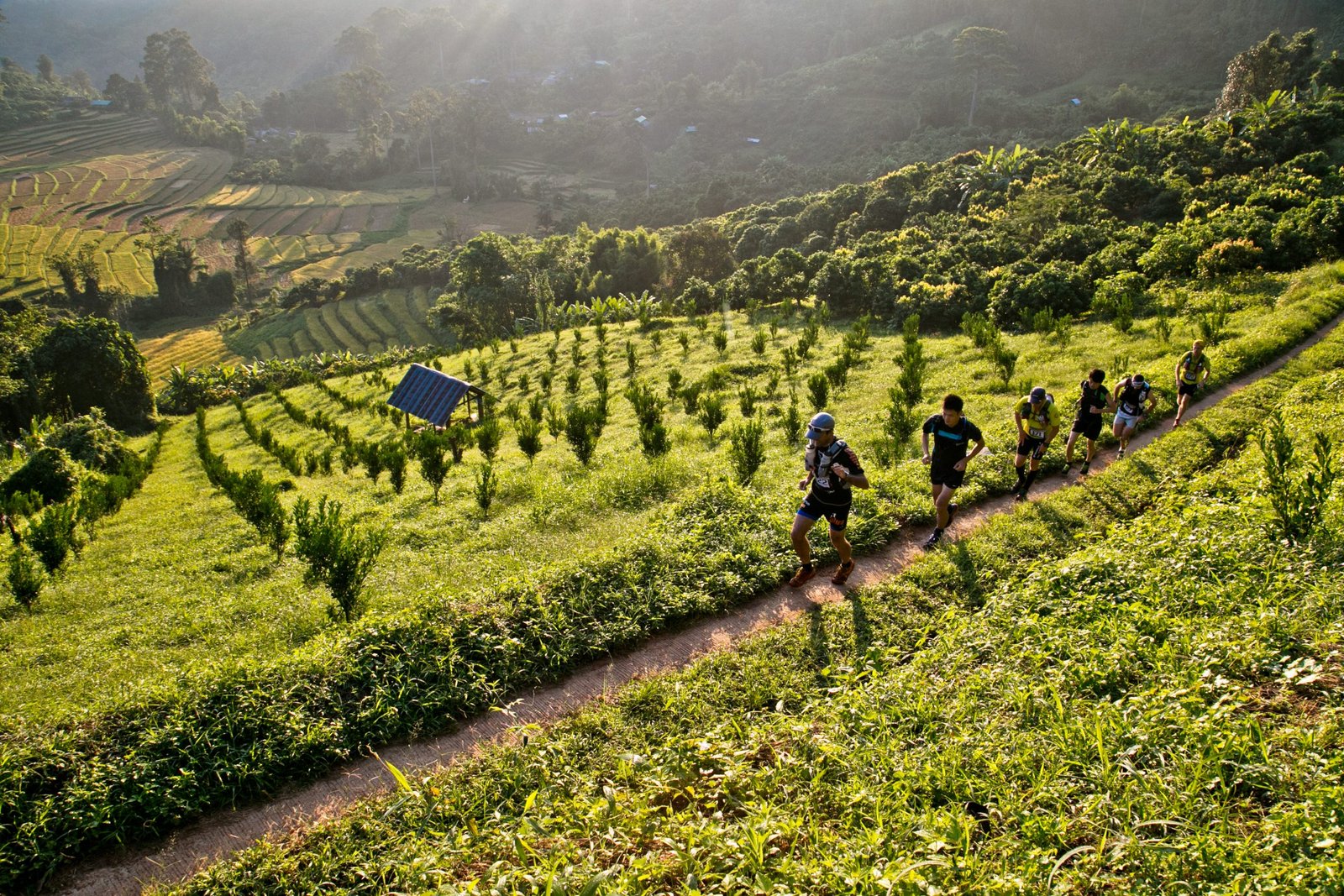 Thailand Mountain Trail Hikking Trails, Trekking Trips, & Running Tours Thailand 9. Edition Zer0 ©v.kronental 208