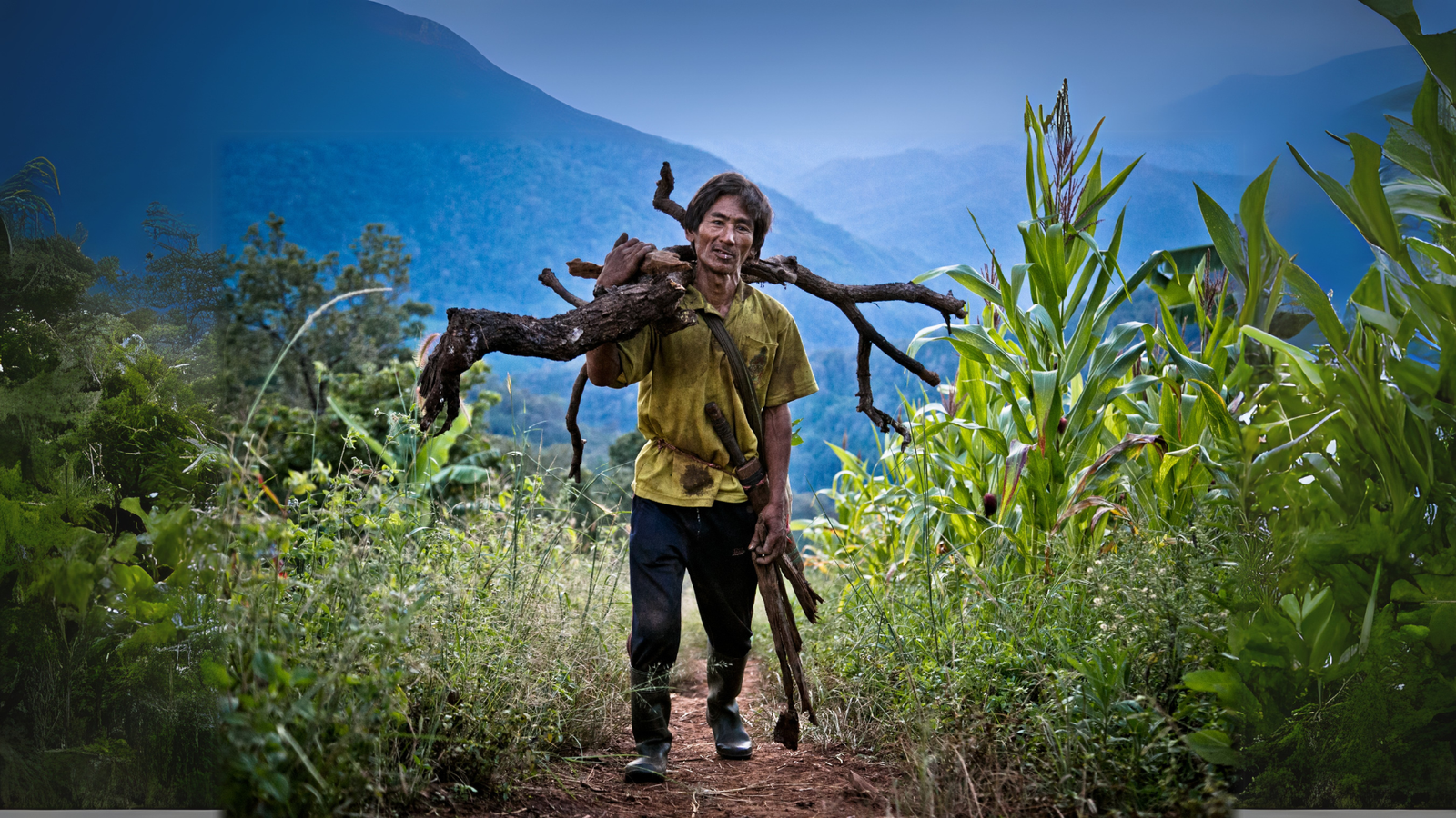 Thailand Mountain Trail Hikking Trails, Trekking Trips, & Running Tours Thailand Untitled Design