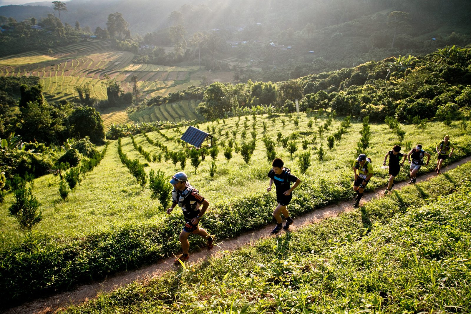 Thailand Mountain Trail Hikking Trails, Trekking Trips, & Running Tours Thailand 5. S209