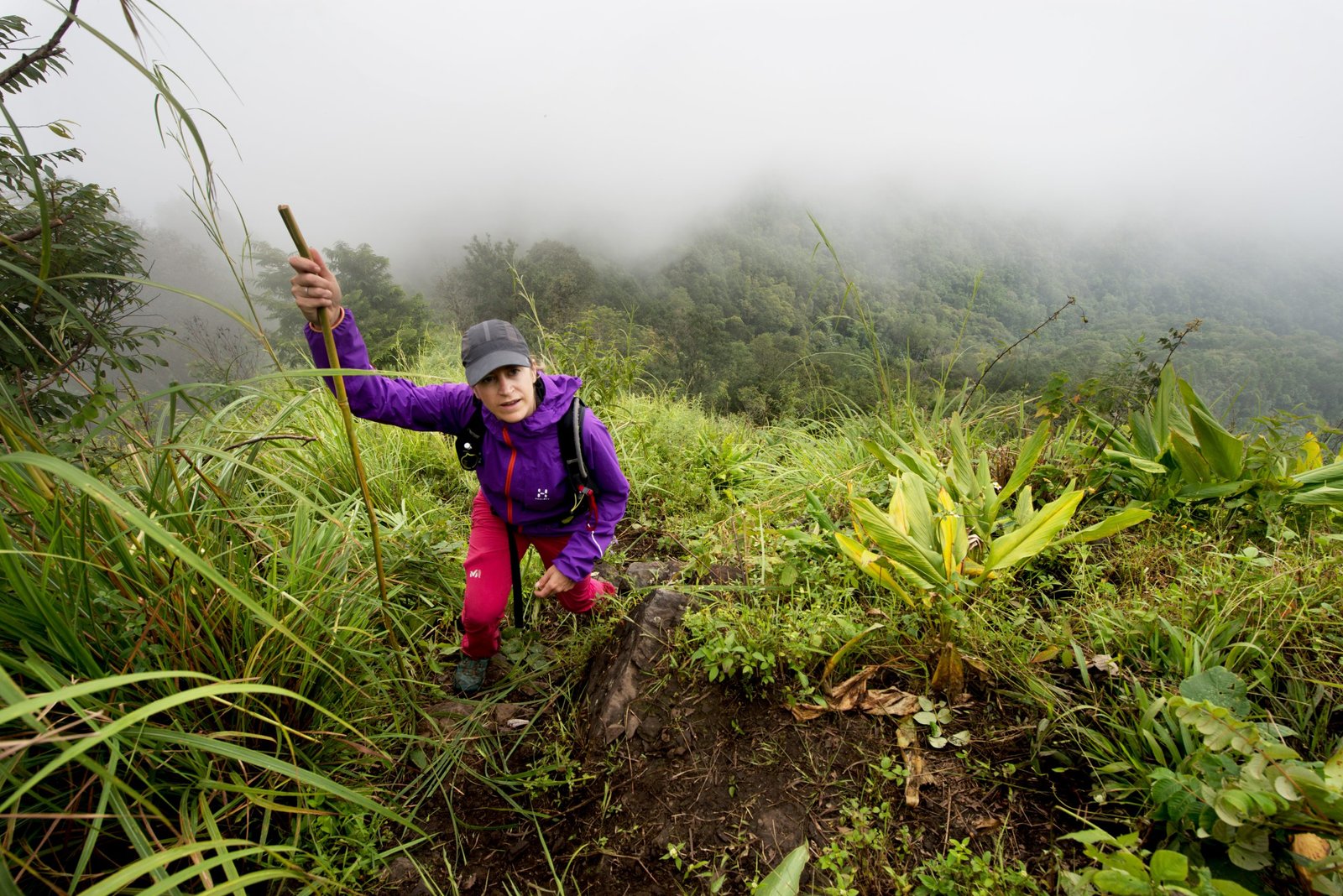 Thailand Mountain Trail Hikking Trails, Trekking Trips, & Running Tours Thailand 5. Trek 0154 Hd