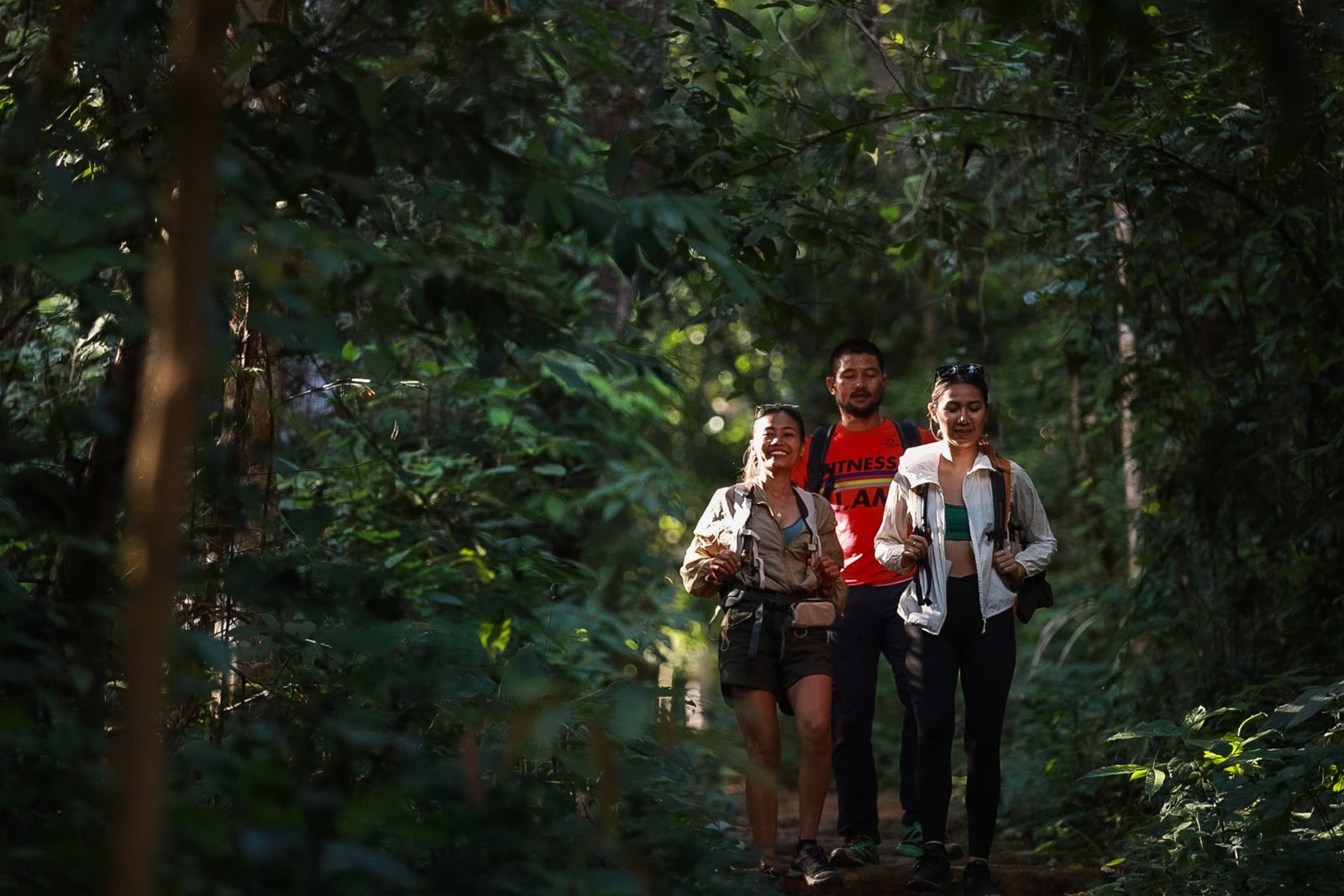 Thailand Mountain Trail Hikking Trails, Trekking Trips, & Running Tours Thailand Screenshot