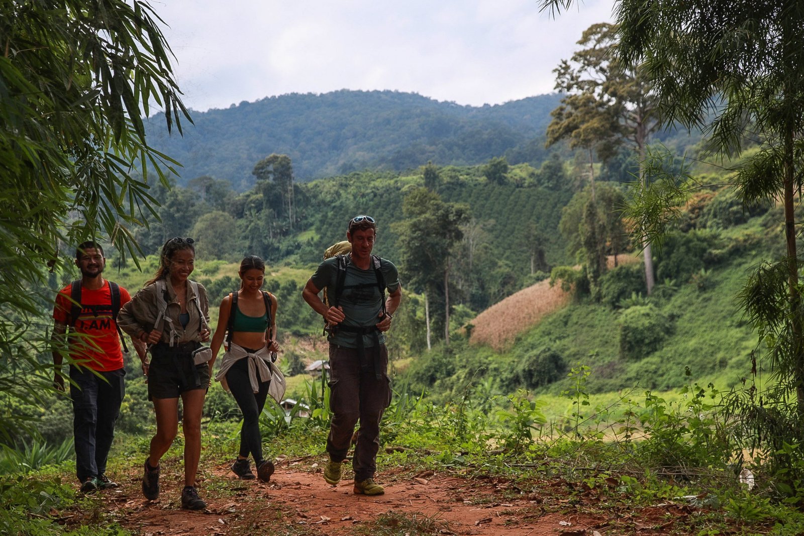 Thailand Mountain Trail Hikking Trails, Trekking Trips, & Running Tours Thailand Screenshot