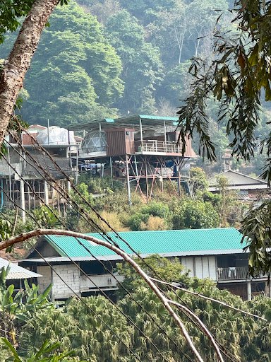 Photo from customer review