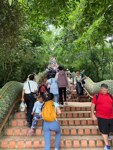 Photo from customer review