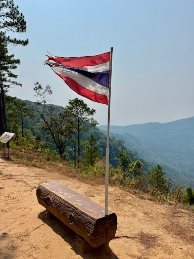 Photo from customer review