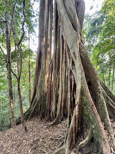 Photo from customer review