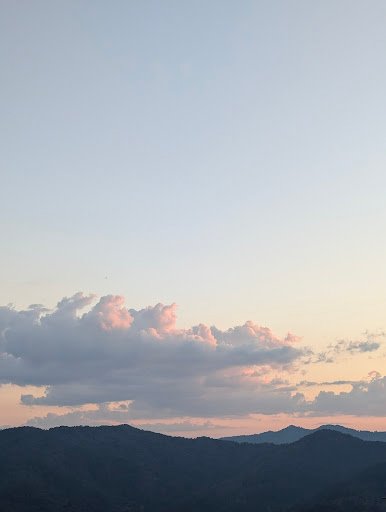 Photo from customer review