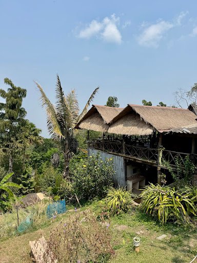 Photo from customer review