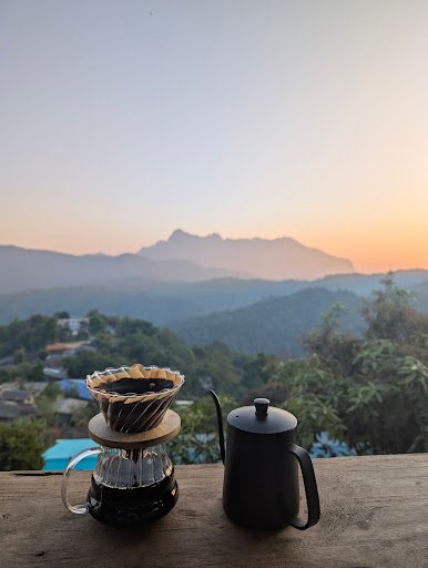 Photo from customer review