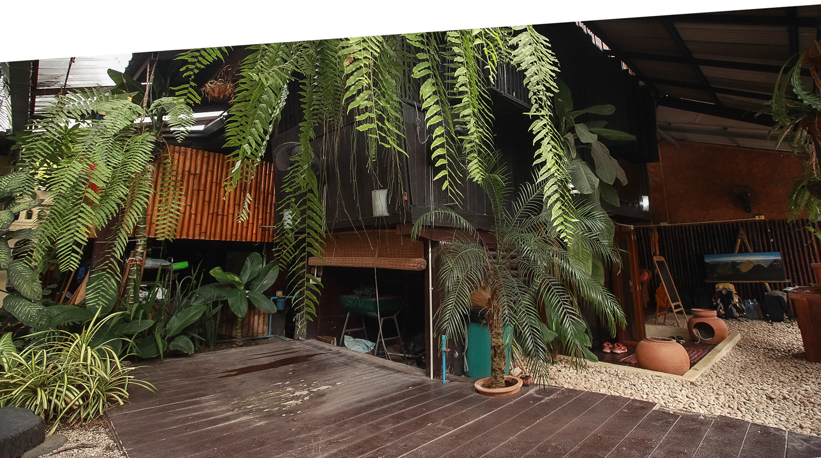 Thailand Mountain Trail Hikking Trails, Trekking Trips, & Running Tours Thailand Orange Slanted Divder Bottom About Tmt 3 V2